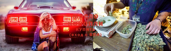 не бодяженный Каменск-Шахтинский