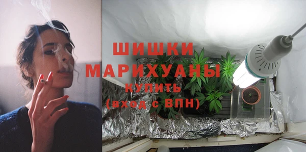 ALPHA PVP Каменка