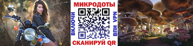 Псилоцибиновые грибы Psilocybe  где найти наркотики  Западная Двина 