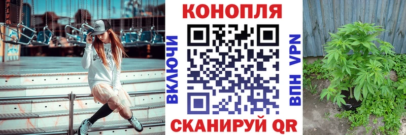Каннабис AK-47  Западная Двина 